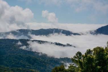 sis ve bulut dağ, Kew Mae Pan, Doi Inthanon Milli Parkı, Tayland.