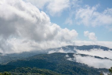 sis ve bulut dağ, Kew Mae Pan, Doi Inthanon Milli Parkı, Tayland.