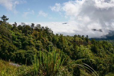 sis ve bulut dağ, Kew Mae Pan, Doi Inthanon Milli Parkı, Tayland.