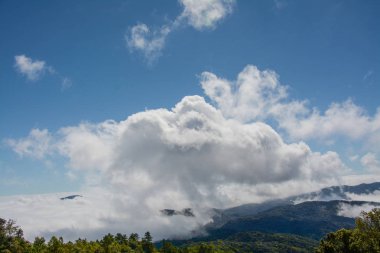 sis ve bulut dağ, Kew Mae Pan, Doi Inthanon Milli Parkı, Tayland.