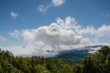 sis ve bulut dağ, Kew Mae Pan, Doi Inthanon Milli Parkı, Tayland.