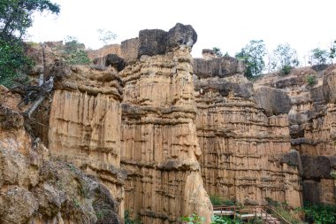 PHA Chau Mae Wong Milli Park, Chiangmai, Tayland.