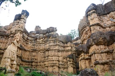 PHA Chau Mae Wong Milli Park, Chiangmai, Tayland.
