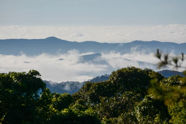 Nebel und Wolken am Berg bei kew mae pan, doi inthanon Nationalpark, Thailand. — Stockfoto