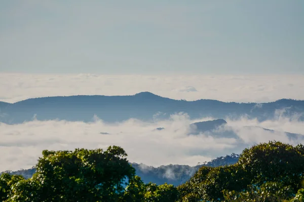 Nebel und Wolken am Berg bei kew mae pan, doi inthanon Nationalpark, Thailand. — Stockfoto