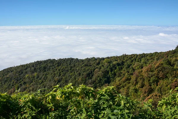 Mgła i chmury na górze w Kew Mae Pan, Doi Inthanon National Park, Tajlandia. — Zdjęcie stockowe