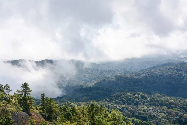 Tåge og sky på bjerget ved Kew Mae Pan, Doi Inthanon National Park, Thailand . - Stock-foto