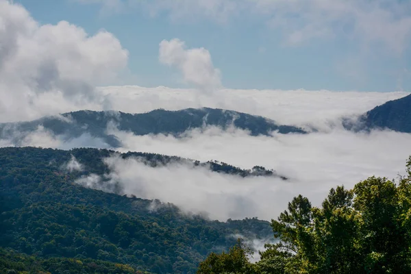 Nebel und Wolken am Berg bei kew mae pan, doi inthanon Nationalpark, Thailand. — Stockfoto