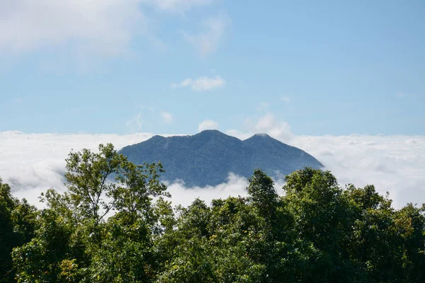 Fog and cloud  on mountain at Kew Mae Pan ,Doi Inthanon National Park, Thailand. — Stock Photo, Image