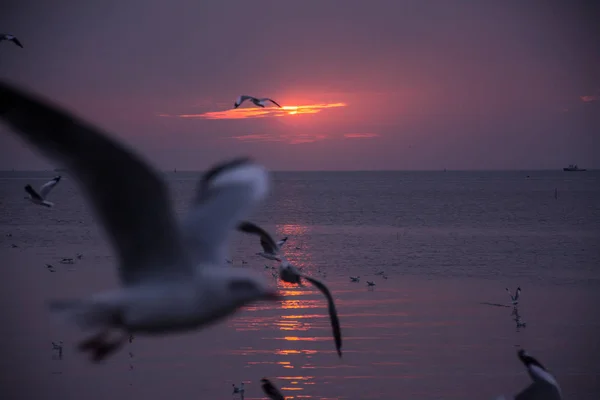 Mer au crépuscule, Bangpu centre de loisirs, Thaïlande — Photo