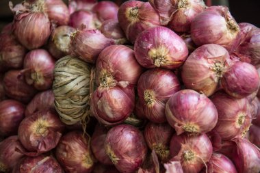 Grup kırmızı soğan 