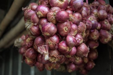 Grup kırmızı soğan 