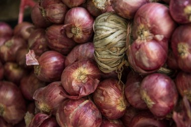 Grup kırmızı soğan 