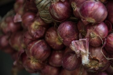 Grup kırmızı soğan 