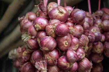 Grup kırmızı soğan 