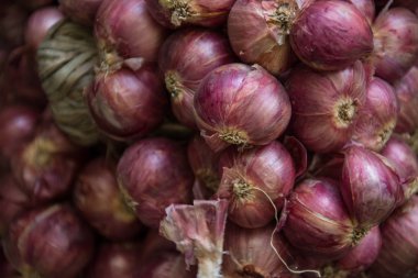 Grup kırmızı soğan 