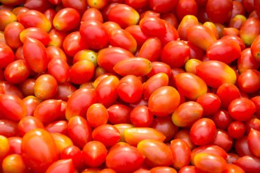  Kırmızı domates arka planı. Bir grup domates.