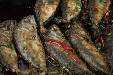 Kızarmış uskumru balık baharatlı körili tepesinde