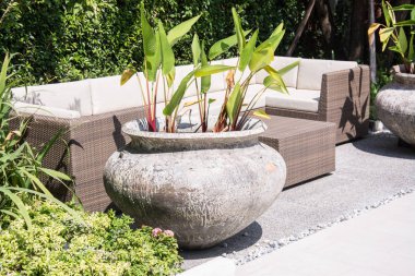 Ağaç su kavanoz içinde 