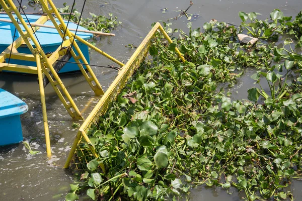 Βάρκα σκάψει νερό Υάκινθος στο κανάλι — Φωτογραφία Αρχείου