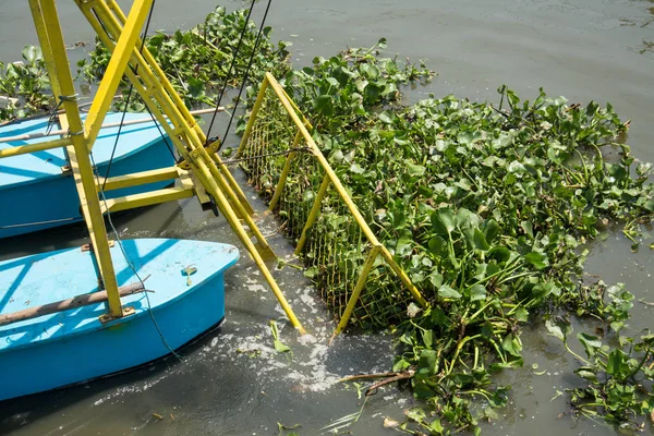 Boat dig water hyacinth in the canal — Stock Photo, Image