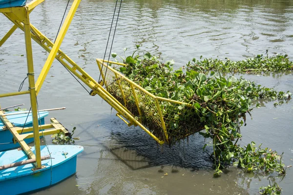 Barco cavar jacinto de água no canal — Fotografia de Stock