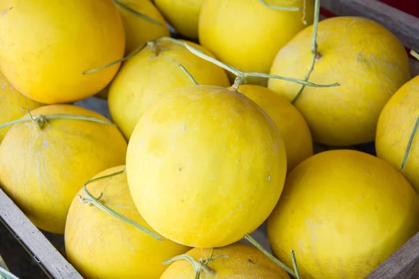 Yellow melon in the market — Stock Photo, Image