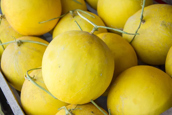 Yellow melon in the market — Stock Photo, Image