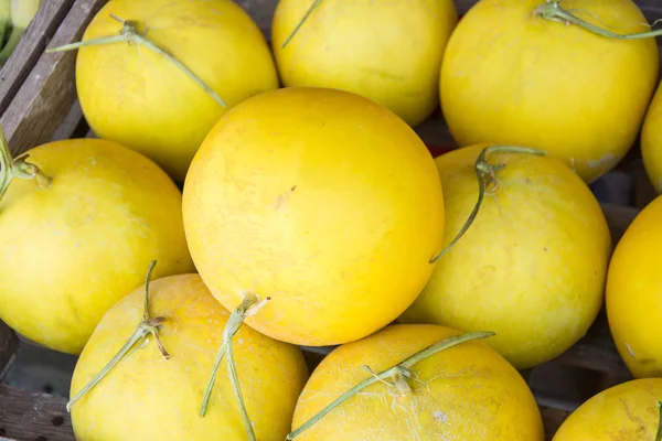 Yellow melon in the market — Stock Photo, Image