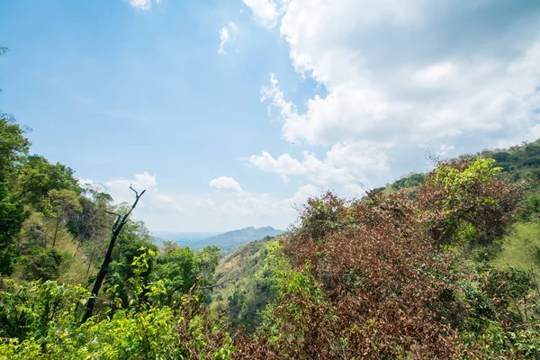 Floresta em Chaloem Rattanakosin National Park, Kanchanaburi, Tha — Fotografia de Stock