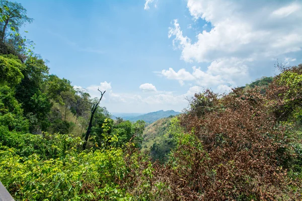 Лес в национальном парке Чалом Раттанакосин, Канчанабури, Тха — стоковое фото