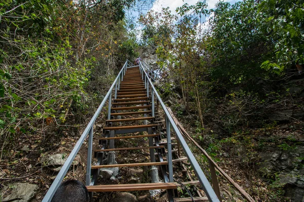 Chodba schodiště v lese stadionu Chaloem Rattanakosin národní Park, — Stock fotografie