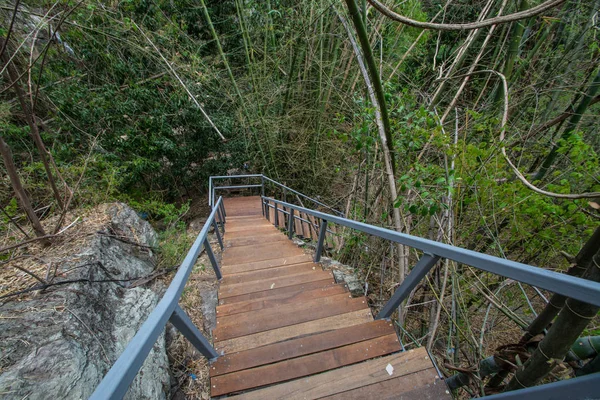 Escalier passerelle dans la forêt Parc national Chaloem Rattanakosin , — Photo