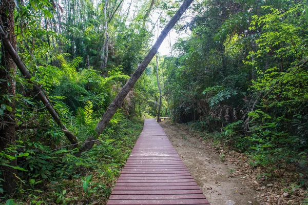 Chodnik w lesie, wodospad Huaymaekamin w Kanchanaburi P — Zdjęcie stockowe