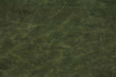 yeşil deri dokusu arkaplanı 