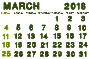 Beyaz arka plan, 3d render yeşil çim üzerinde Şubat 2018 için takvim