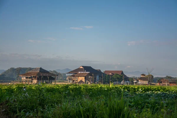 Village with green vegetable garden in Pua ,the  northern of Tha — Stock Photo, Image