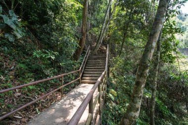 forrest beton merdiven