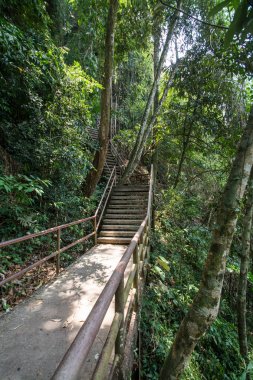 forrest beton merdiven