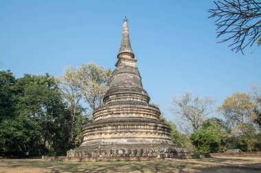 Wat Umong Suan Puthatham tarihi merkezinde bir Budist tapınağı ve bir Budist tapınağı Chiang Mai önemli bir turistik olduğunu, Tayland.
