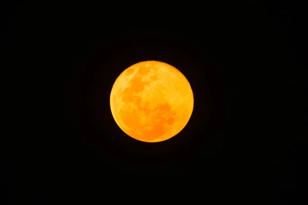 黑色天空中的黄色超级月亮 — 图库照片
