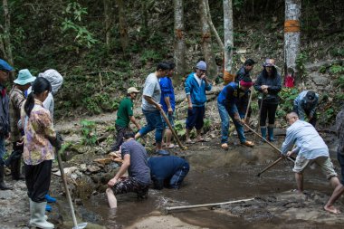İnsanlar Tayland 'ın Chiang Ma kentindeki Mae Kam pong köyünde Weir' ı dağa çıkarıyorlar. 13 Ocak 2020 'de.