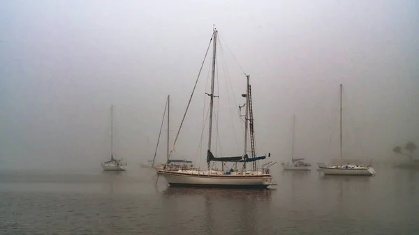 Yelkenliler sabah kalın, sisli limana demir attı.