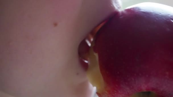 Młody, głodny, biały dzieciak gryzie i żuje czerwone jabłko. Makro zbliżenie — Wideo stockowe