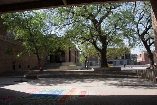 Ahmedabad Inde Avril 2017 Grands Arbres Dans Cour Une Bibliothèque — Photo