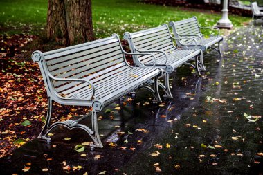 parkta bankta sonbahar yaprakları