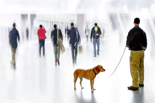 Säkerhetsvakt med en hund i Businesscenter — Stockfoto