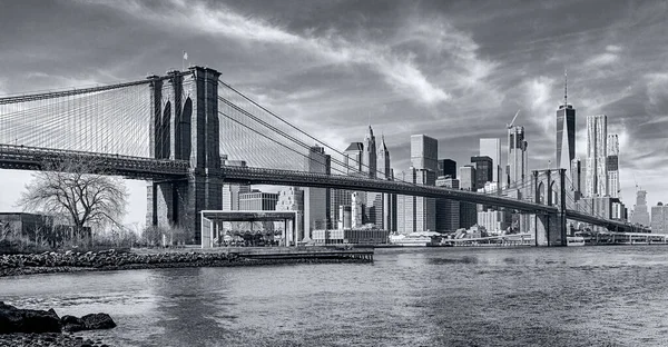 Денна Панорама Нью Йорка Монохромному Синьому Тональності — стокове фото