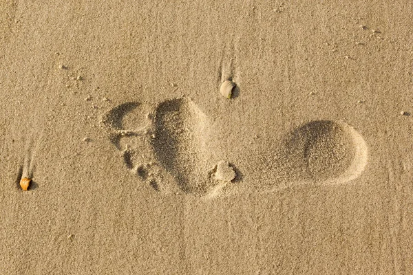 Impronte Piedi Pneumatici Sabbia Una Spiaggia — Foto Stock