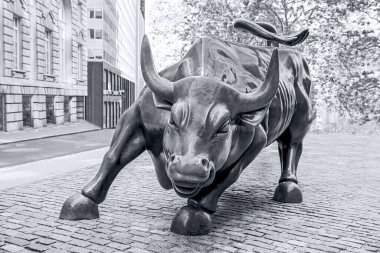 New York City, ABD - 12 Haziran 2015: Manhattan 'ın tarihi finans bölgesinde Wall Street Bull' un yakın görüntüsü
